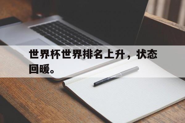 富联娱乐-世界杯世界排名上升，状态回暖。